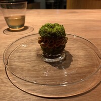 Syn - Foie-Brest