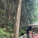 ヴィッラ デルピーノ - 