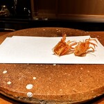 Tempura Shinsaibashi Ittetsu - 