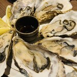 くらのあかり - 本日の生牡蠣