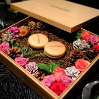 VELROSIER - 