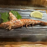 わたる - 