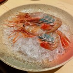 銀座 しのはら - 追加メニューのボタンエビ