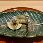 銀座 しのはら - 郡上八幡の落ち鮎の唐揚げ