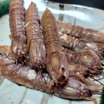 食酒工房 ときや - シャコエビ