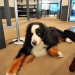 ラウンド アバウト カフェ - 