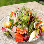 Today's Highland Salad (Small)