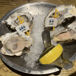 Oyster Bar ジャックポット - 