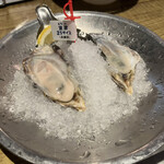 Oyster Bar ジャックポット - 