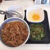 Yoshinoya - 牛丼並４４８円＋ねぎ玉子１５１円