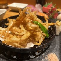 宇田川 紫扇 - 