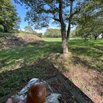 阿部屋菓子店 - 村上城址で茶まんじゅうを頂く
