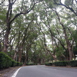 高良山茶屋　望郷亭 - 競輪場正面入り口へと抜ける思い出深い道・・・