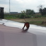 自宅車庫にて・・・秋の気配。