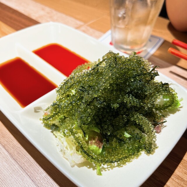 Umi to Sora Hibiscus Shokudo Kiyamachi Ten photo 5