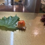 Sushi Ooi - 