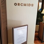 Orchids - 