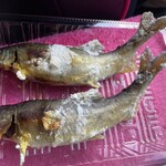 鮎の塩焼き - 料理写真:子持ち鮎の塩焼き 1尾 ¥700