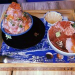 Atami Osakana Daishokudou - 海鮮てっぺん丼 / トロとろとろ丼