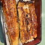 Unagi Fujita - 