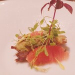 トラットリア フェルマータ - カツオの燻製 グレープフルーツ