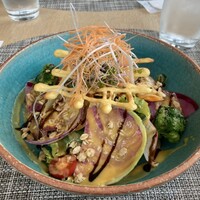 オープチデリス - 