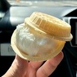 平工アイスクリーム店 - 