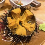 漁亭 浜や - ガゼ雲丹