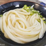 ヨコクラうどん - 