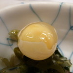 こづち - 【H25.10.2】スッポンの卵。