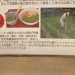 尾道ラーメン 喰海 - ネギの説明