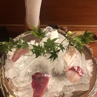 銀平 北新地店 - 