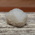 市sushi - 玄海のヤリイカ。