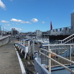 イルマーレ - 早川駅前の信号を渡ると、そこはもう小田原漁港です。