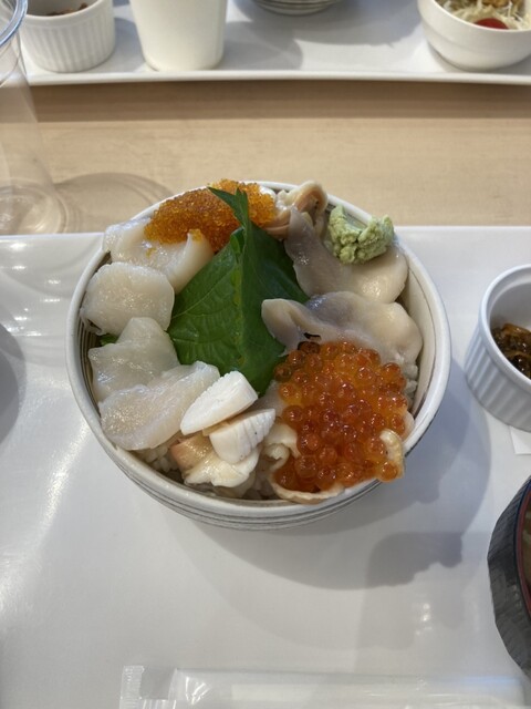 函館まるかつ水産　いかいか亭 - 十字街（海鮮）の写真