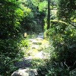 京味 もと井 - 門をくぐってすぐ左の庭へ通ずる景色。