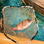 ジャンボ釣船 つり吉 - 