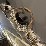 旬菓茶舎 日と時季 - 階段横の流木とマリモのオブジェ