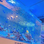 aquarium dining サカナノセカイ - 