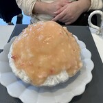 サクラサクラ - 