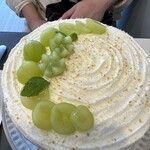 サクラサクラ - 