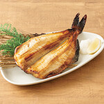 1 extra large striped mackerel