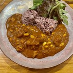 渡辺料理店 - 古墳の形をした古代米にたっぷりのポーク豆カレー