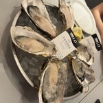 8TH SEA OYSTER Bar - 