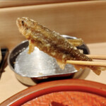 てんぷら 深町 - 稚鮎