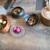 レヴォ - 