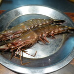 ル クーリュズ - くまえび