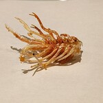 天ぷら割烹 たかの - 料理写真: