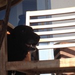 ダブルドアーズ - 2013/10 