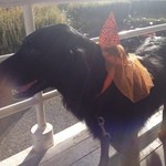 ダブルドアーズ - 2013/10 今月末はハロウィーン。ちょっと早いけど…